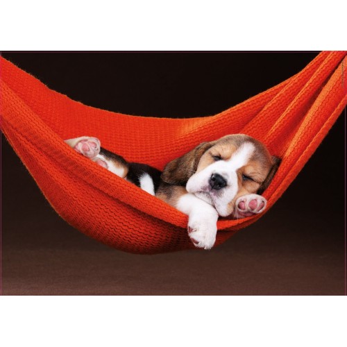 Puzzle 500 el. Drzemka w hamaku Zwierzęta Educa