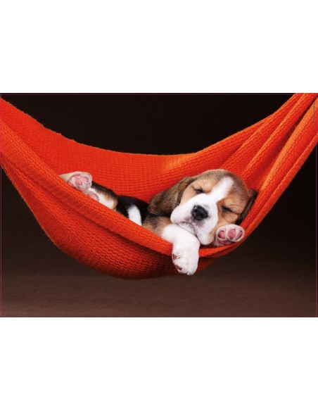 Puzzle 500 el. Drzemka w hamaku Zwierzęta Educa