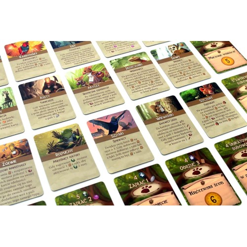 Everdell: Święto Lata Pozostałe gry Rebel