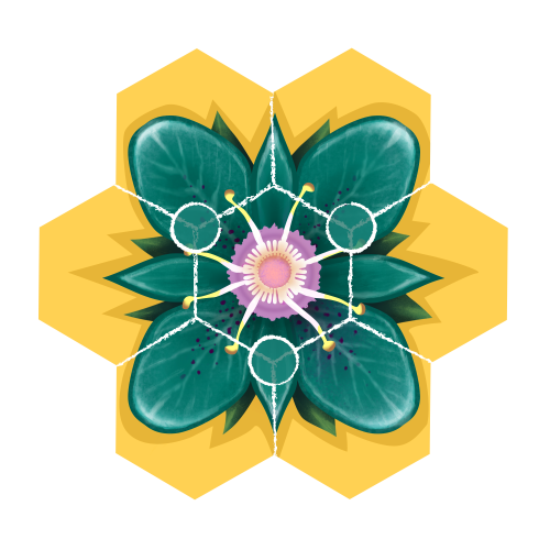 Beez (edycja polska) Rodzinne Rebel