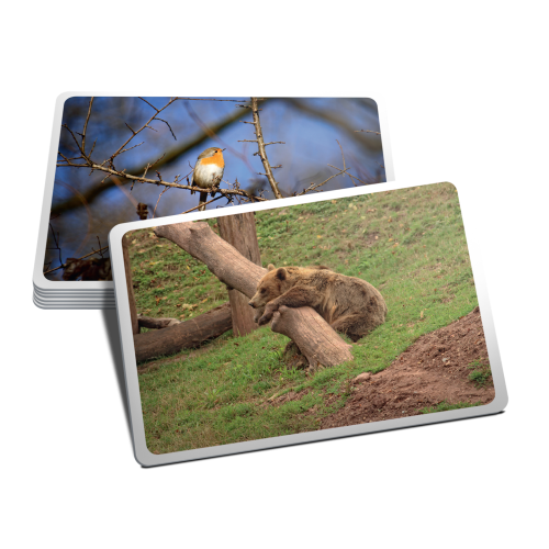 Obrazki Imprezowe Rebel