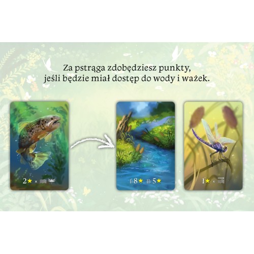 Ekosystem Rodzinne Nasza Księgarnia