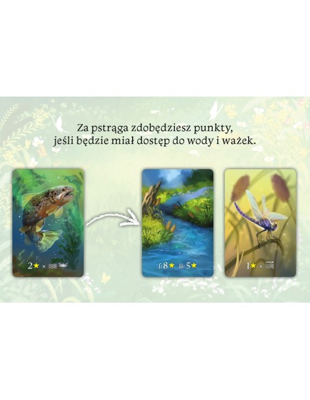 Ekosystem Rodzinne Nasza Księgarnia