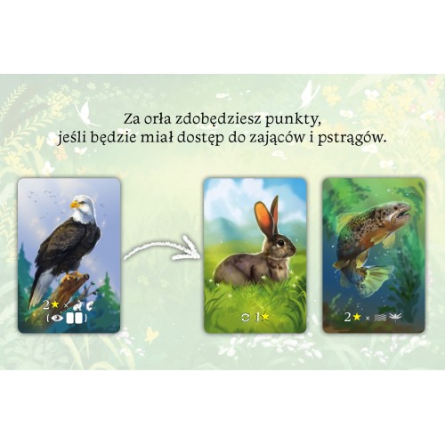 Ekosystem Rodzinne Nasza Księgarnia