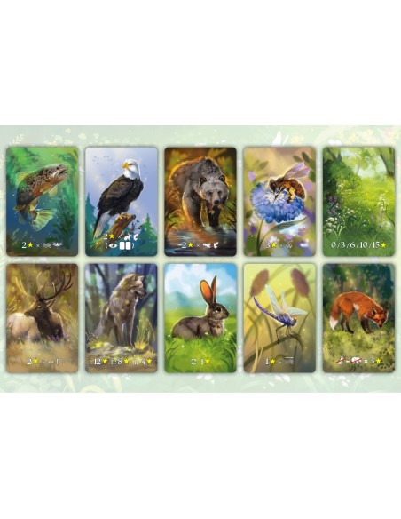 Ekosystem Rodzinne Nasza Księgarnia