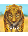 Wild Serengeti (edycja angielska) Strategiczne