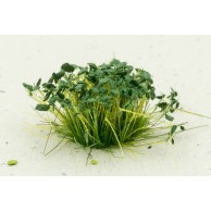 Paint Forge Kępki kwiatów Dark Green Flowers 6 mm 70 szt. Trawa i Posypki Paint Forge