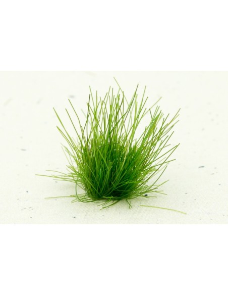 Paint Forge 05-12 Kępki trawy Dark Forest 12mm 70szt. Trawa i Posypki Paint Forge