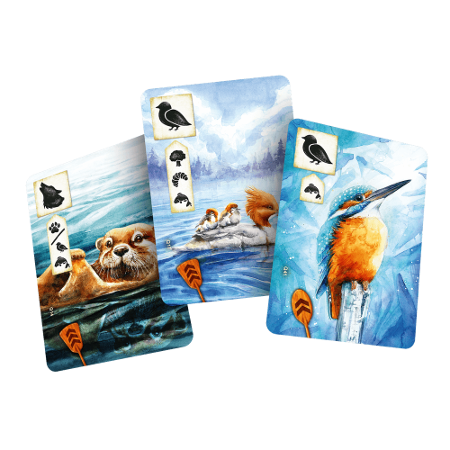 Łąka: Z biegiem strumienia