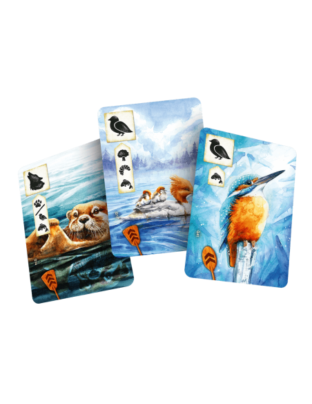 Łąka: Z biegiem strumienia