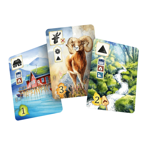 Łąka: Z biegiem strumienia