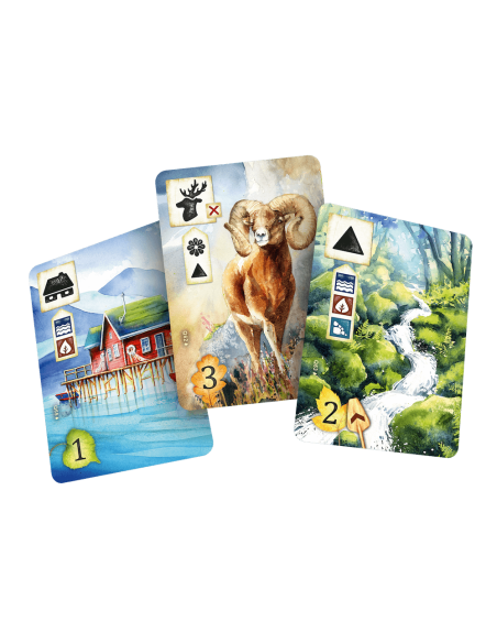 Łąka: Z biegiem strumienia