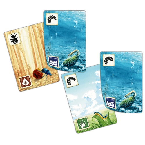 Łąka: Z biegiem strumienia