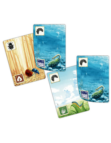 Łąka: Z biegiem strumienia