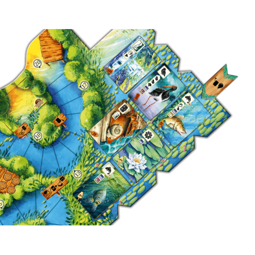 Łąka: Z biegiem strumienia