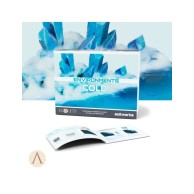 Scale 75: Soilworks -...