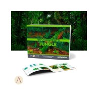 Scale 75: Soilworks -...