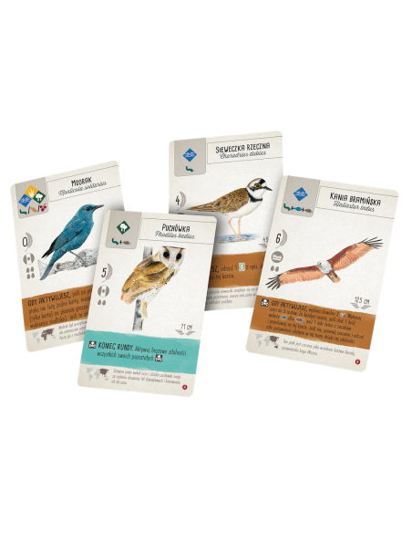 Na skrzydłach: Ptaki Azji