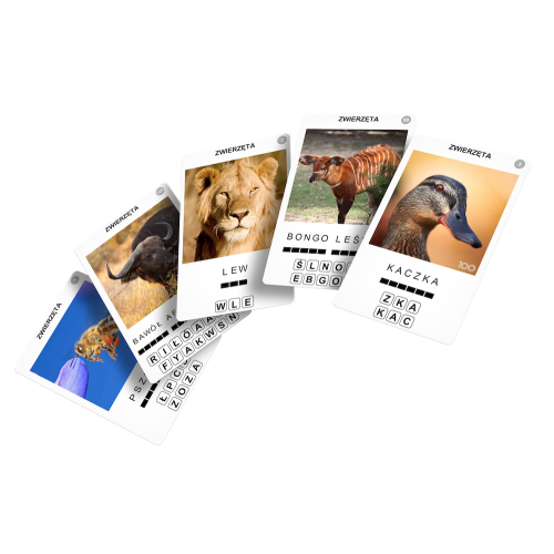 100 Pics: Zwierzęta