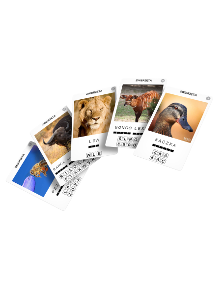 100 Pics: Zwierzęta