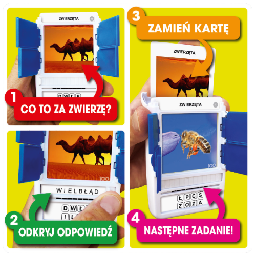 100 Pics: Zwierzęta