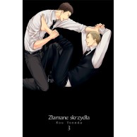 Złamane skrzydła - 3