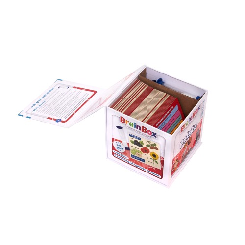 BrainBox - Polska (druga edycja)