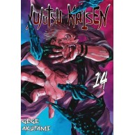 Jujutsu kaisen - 14