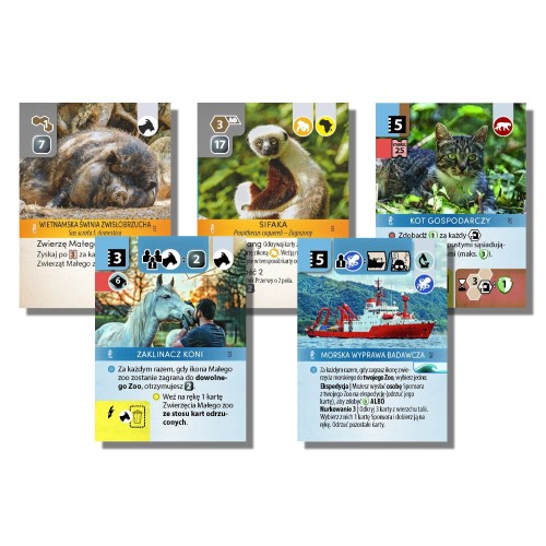 Ark Nova: Wodny Swiat