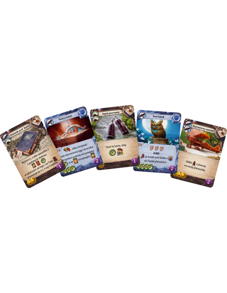 Zaginiona wyspa Arnak: Poszukiwania ekspedycji