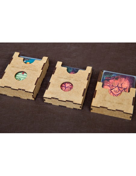 reDrewno Insert do gry Zaginiona Wyspa Arnak z dwoma dodatkami