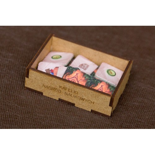 reDrewno Insert do gry Zaginiona...