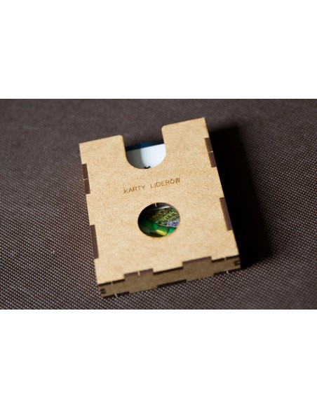 reDrewno Insert pasujący do gry Beyond the Sun