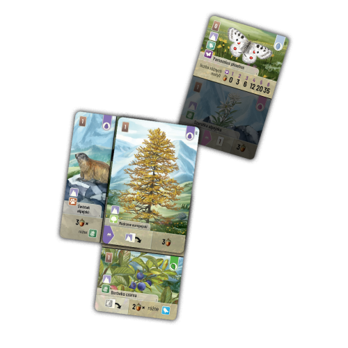 Leśne rozdanie: Alpy