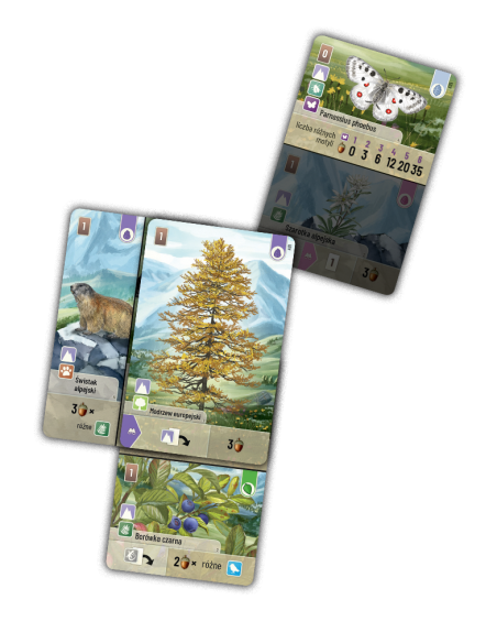 Leśne rozdanie: Alpy