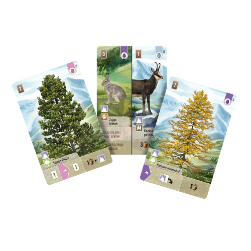 Leśne rozdanie: Alpy