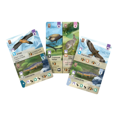 Leśne rozdanie: Alpy