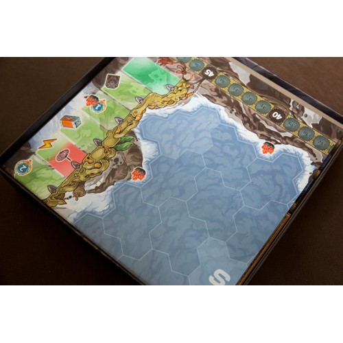 reDrewno Insert pasujący do gry...