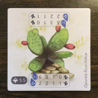 Petrichor Cactus Promo Tile