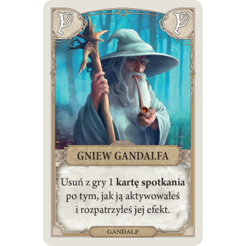 Władca Pierścieni: Wyprawa do Góry...