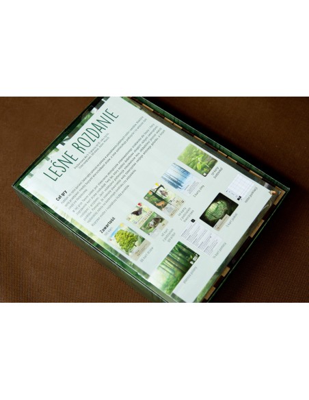 reDrewno Insert pasujący do gry Leśne Rozdanie