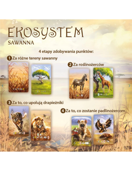 Ekosystem 3 - Sawanna