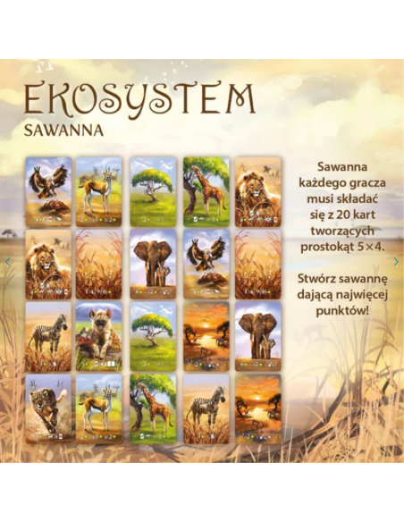 Ekosystem 3 - Sawanna