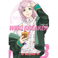 Wind Breaker - 7