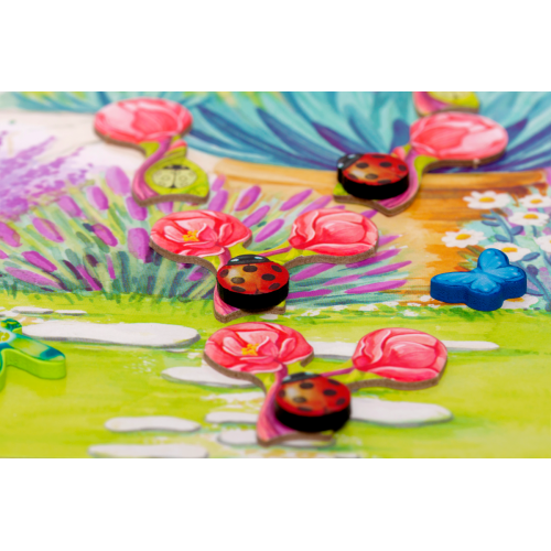 Pergola (edycja polska)