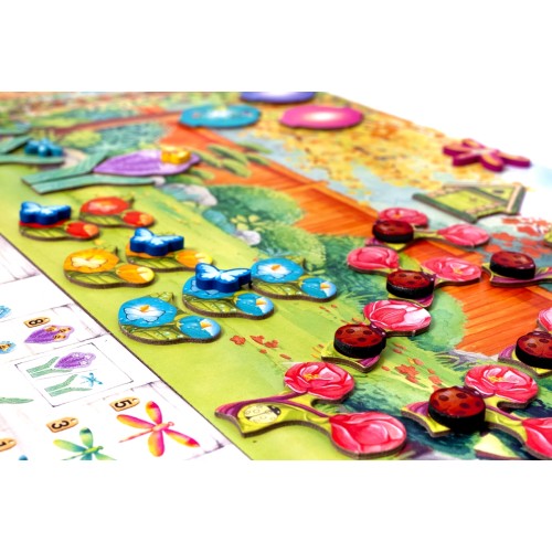 Pergola (edycja polska)