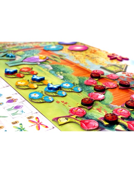 Pergola (edycja polska)