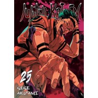 Jujutsu kaisen - 25