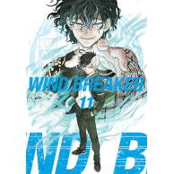 Wind Breaker - 11
