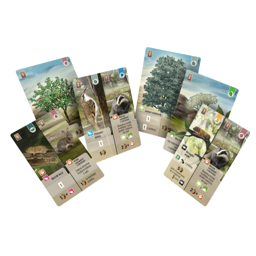 Leśne rozdanie: Dartmoor